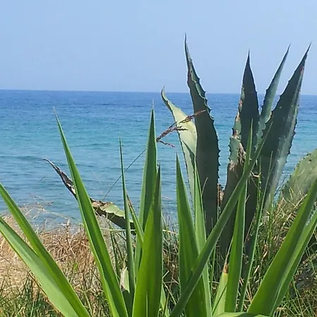 Beach Bungalows Kipszéli