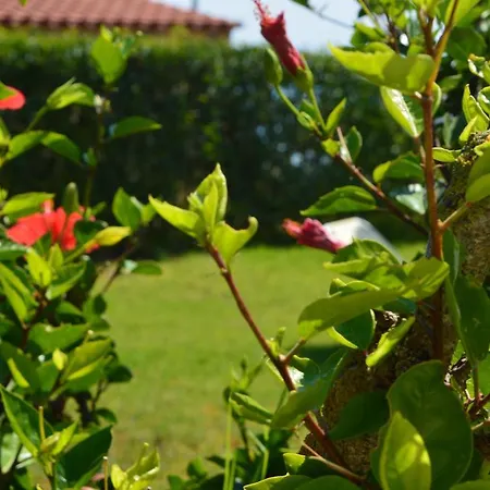 Apartment Beach Bungalows Kypseli